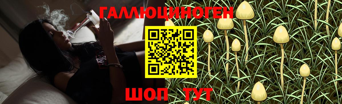 Галлюциногенные грибы мухоморы Полевской