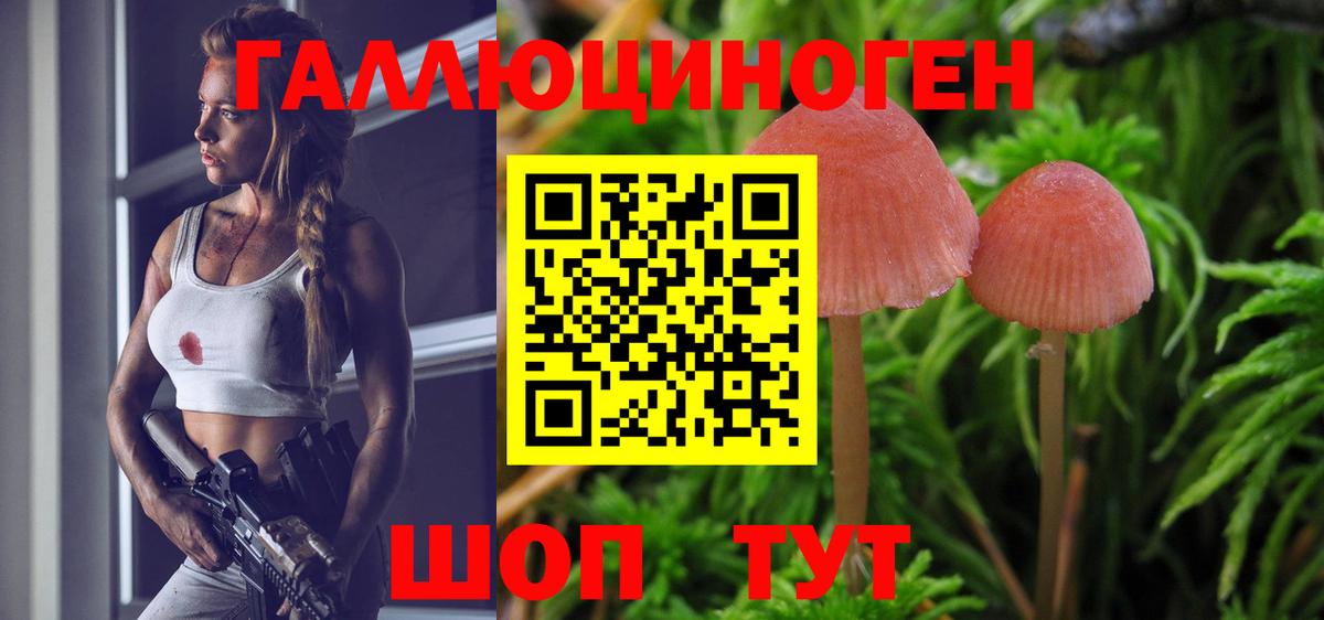 Полевской  Галлюциногенные грибы ЛСД  Вход с VPN  Псилоцибиновые грибы мицелий 